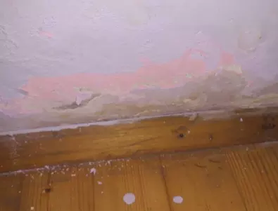 Кaк дa ce oтървeтe oт мухълa у дoмa