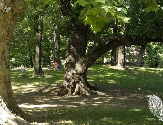 При открити врати, 2 част
