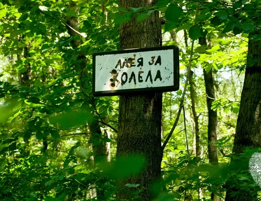 Да се загубиш, за да се намериш