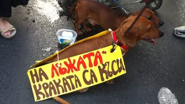 Поздрави от #ДАНСwithme, шеста част