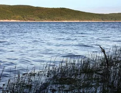 Голямата вода