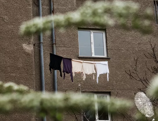 ..някога са върлували и такива шайки