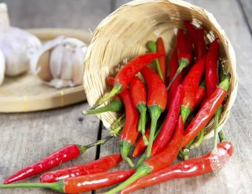 ...храната била скромна, но вкусна