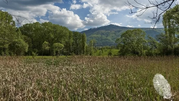 ...Витоша е най-старият природен парк на Балканите