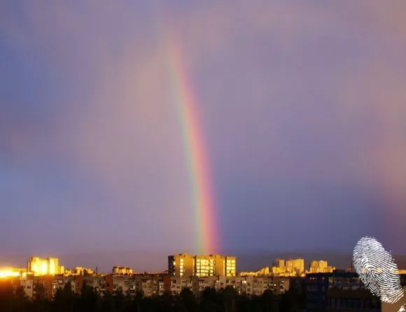 сутрешен дъжд