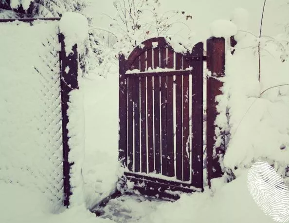 отворена покана
