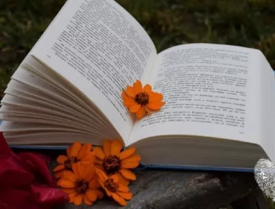 10-те най-велики начала на книги