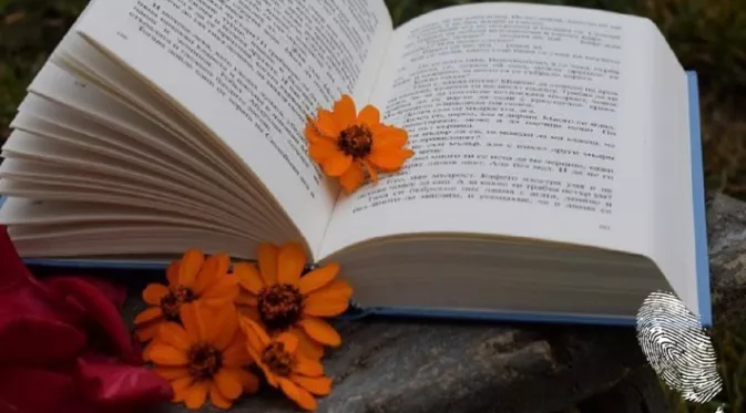10-те най-велики начала на книги