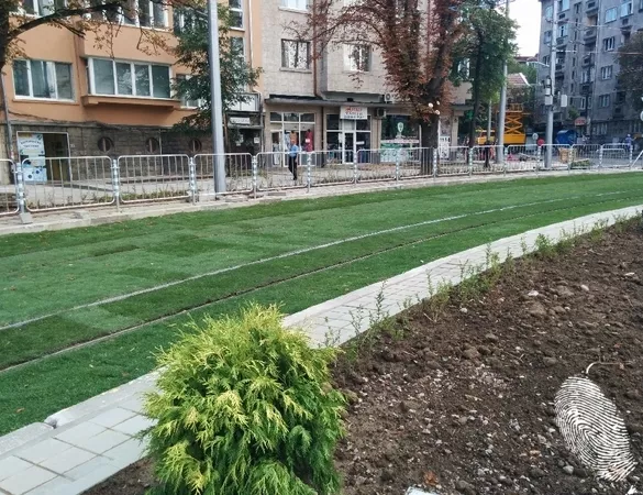 Релси в тревата