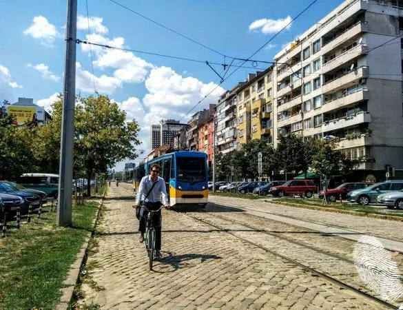 На София зеленото й отива