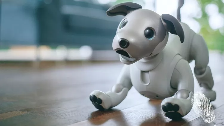 Sony пусна куче робот. Гениално или зловещо?