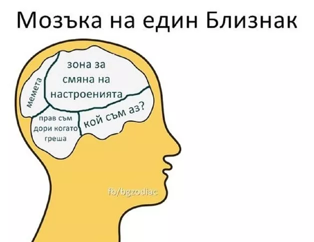 Какво се върти в главата на всяка зодия