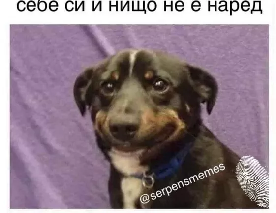 Най-забавните мемета с животни