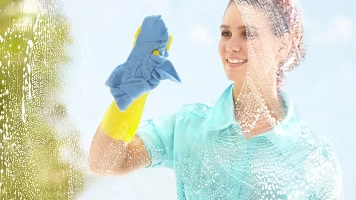 Чистенето срещу секса