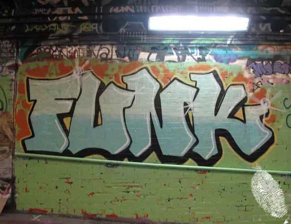 Funkymental Voyage
