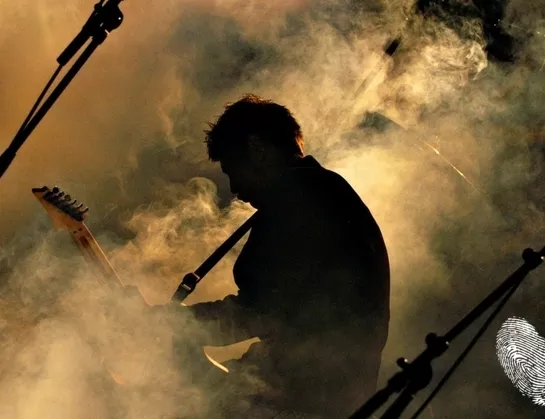 Rock 'N' Roll Live Night