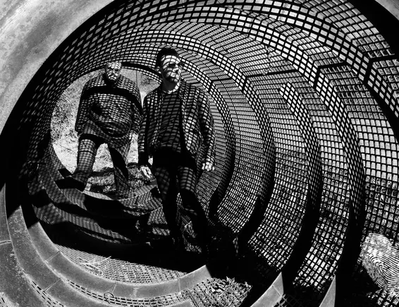 Kayo Dot