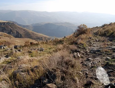 Глас в пустиня