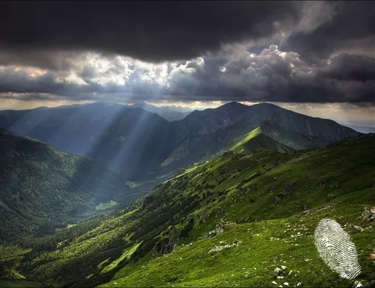 Зелената аптека