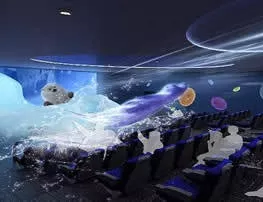 Какво става с полюса 5D