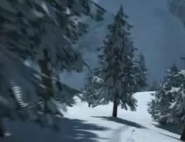 Снежна гонка 5D