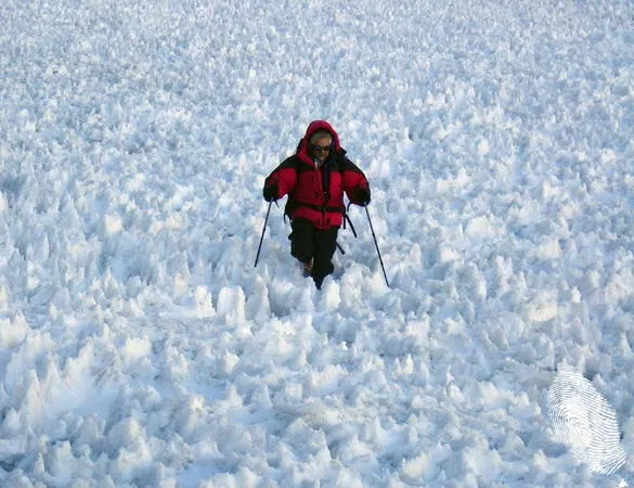 Осем първенци