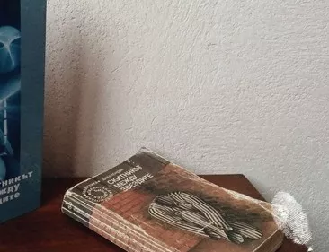 Скитникът между звездите