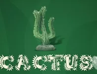 Cactus (кв. Лозенец)