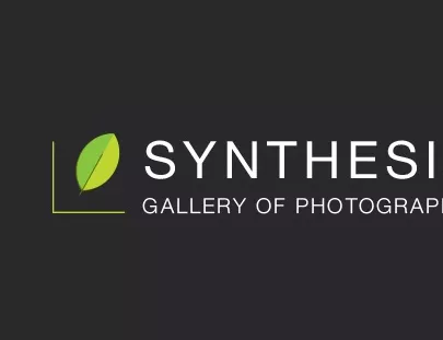 Галерия Synthesis