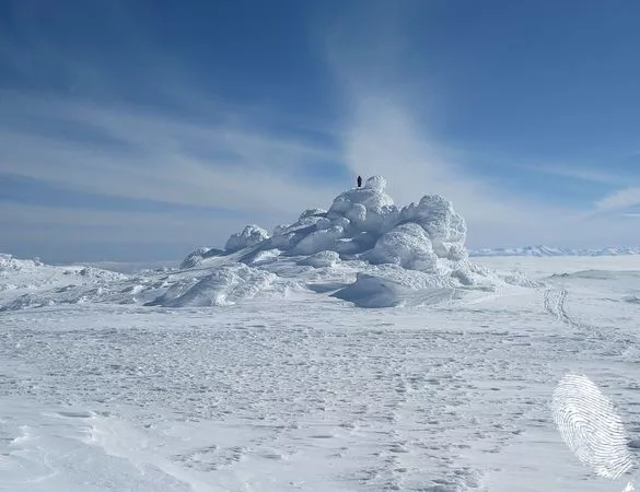 Разходки със снегоходки
