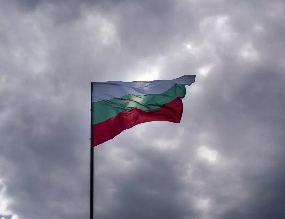 Електрошок за всички