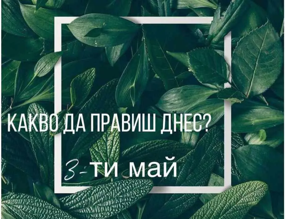 Какво да правиш днес след работа?