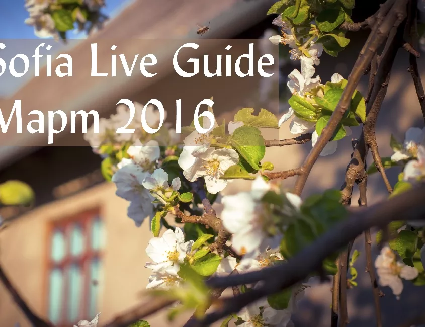 Sofia Live Guide