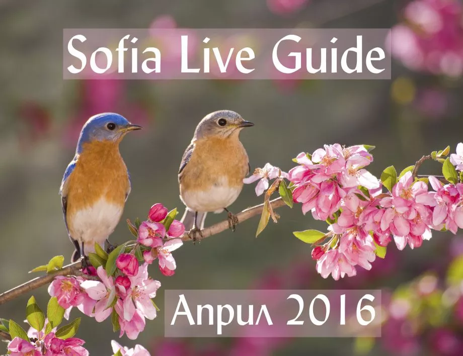 Sofia Live Guide