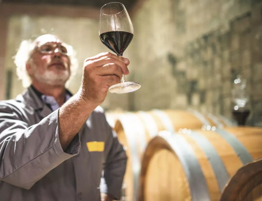 Вино да се лее!