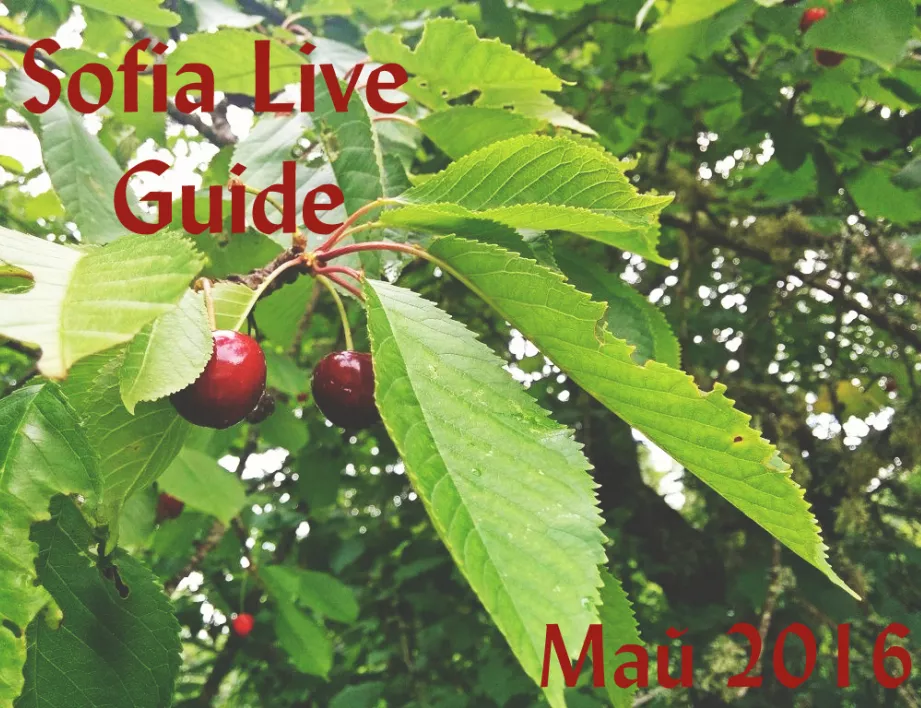 Sofia Live Guide