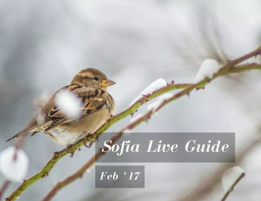 Sofia Live Guide