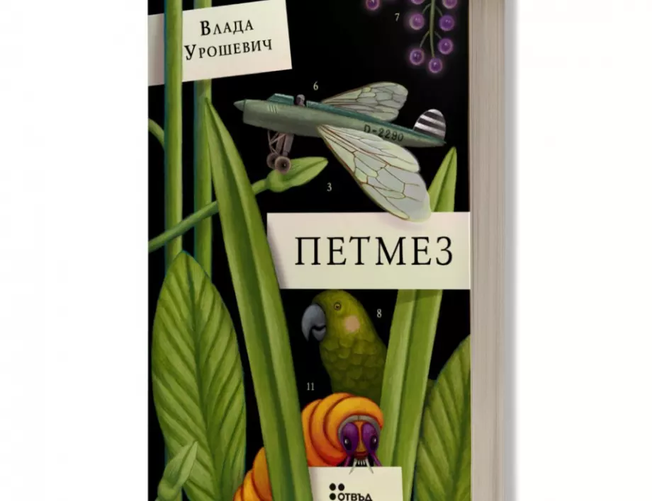 Жанет 45 представя 
