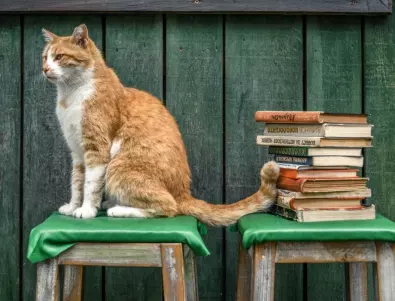 "Литературна София" - изложба за любовта между книгите и хората отваря врати