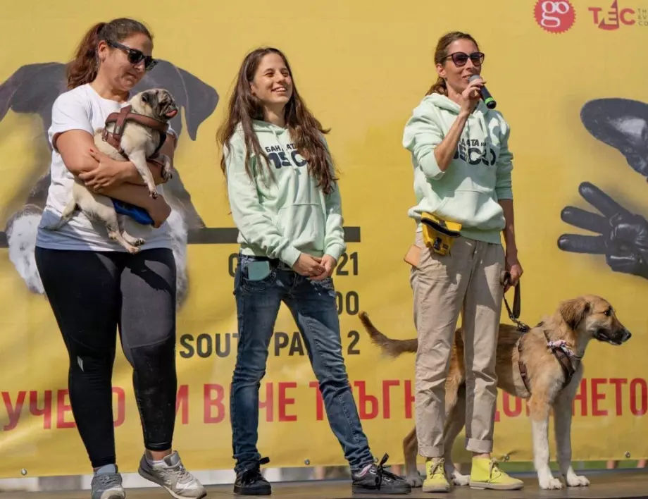 Подари обич на бездомните кучета - съвместна дарителска кампания на BILLA България и 
