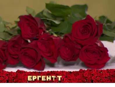 Алек прекъсна Церемонията на розата - остави половината в "Ергенът" без роза